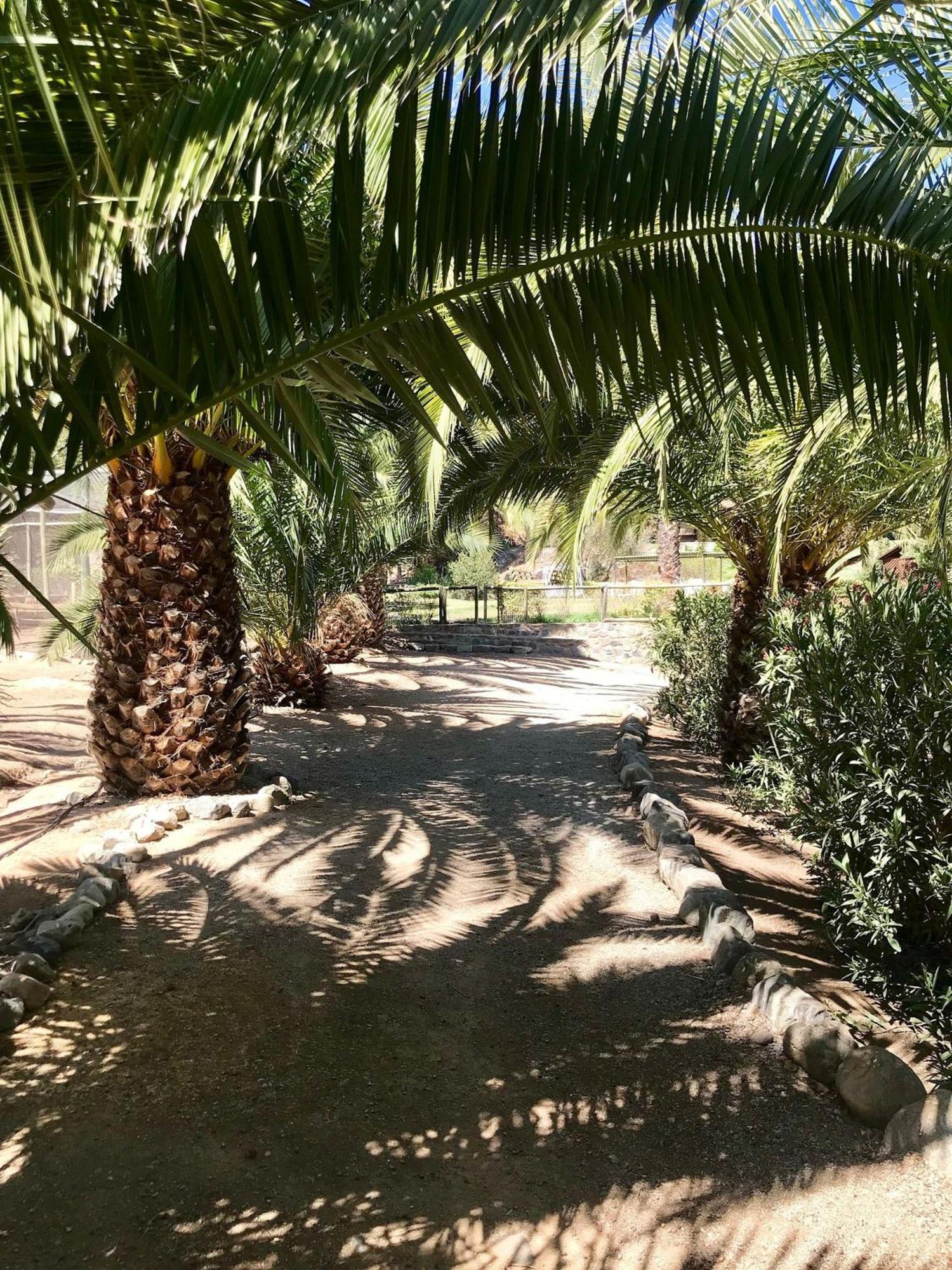 Casa de férias Bellisima Casa En La Aurora *